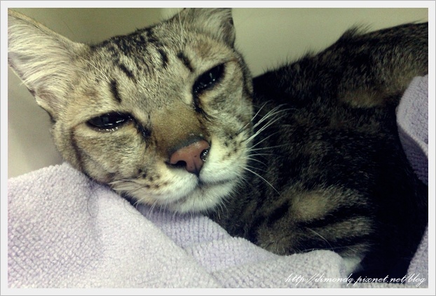 IMAG0369.jpg IMAG0369.jpg