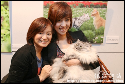 IMG_0813.JPG IMG_0813.JPG