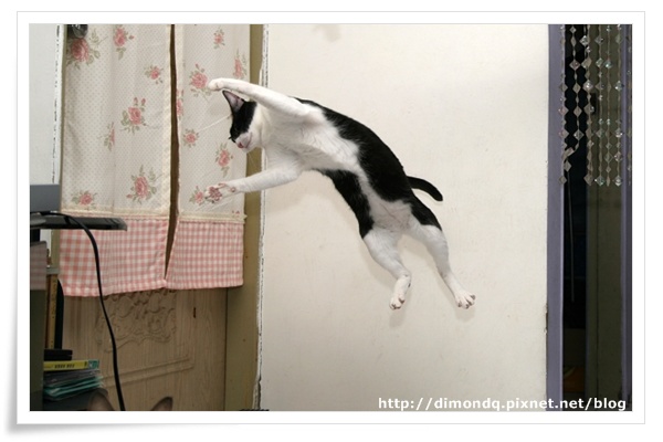 IMG_8488.JPG IMG_8488.JPG