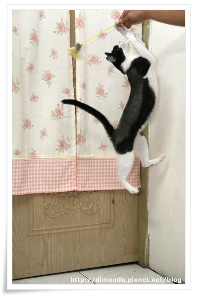 IMG_9263.jpg IMG_9263.jpg