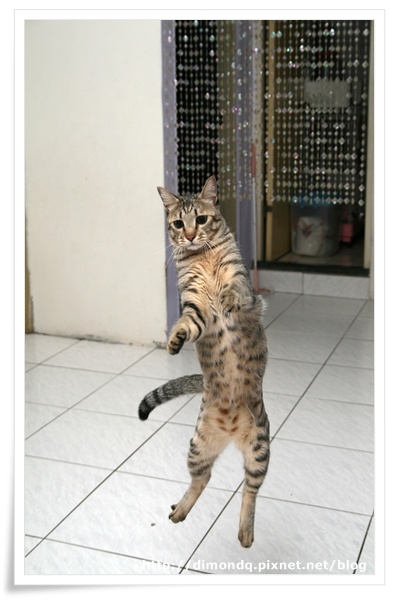 IMG_9934.jpg IMG_9934.jpg