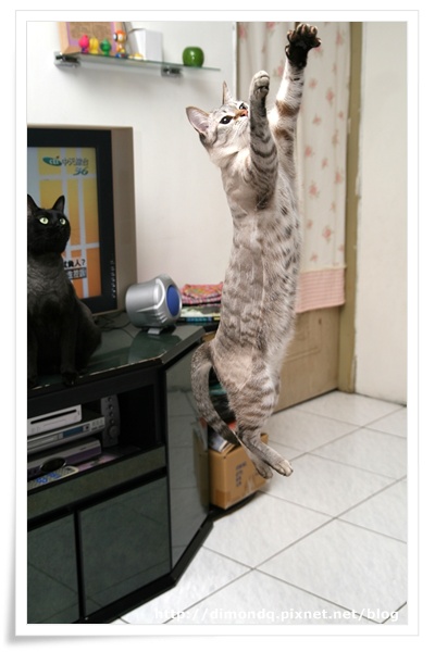 IMG_9935.jpg IMG_9935.jpg