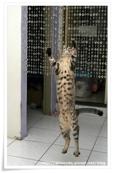 IMG_9949.jpg IMG_9949.jpg