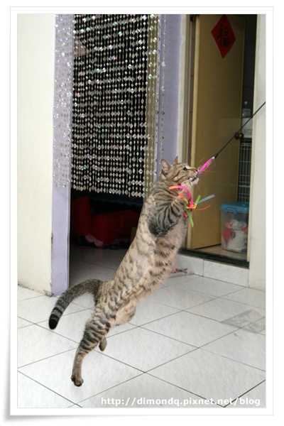 IMG_9959.jpg IMG_9959.jpg