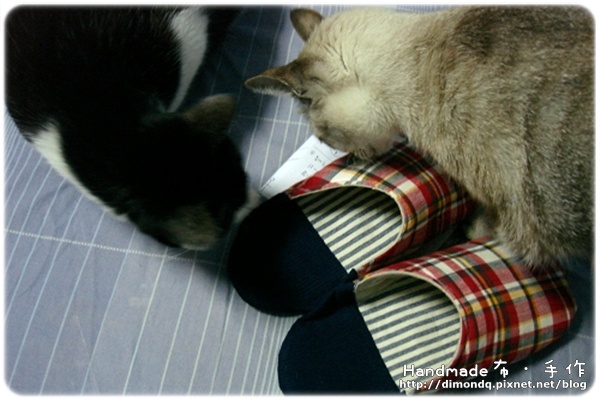 DSC08571.jpg DSC08571.jpg