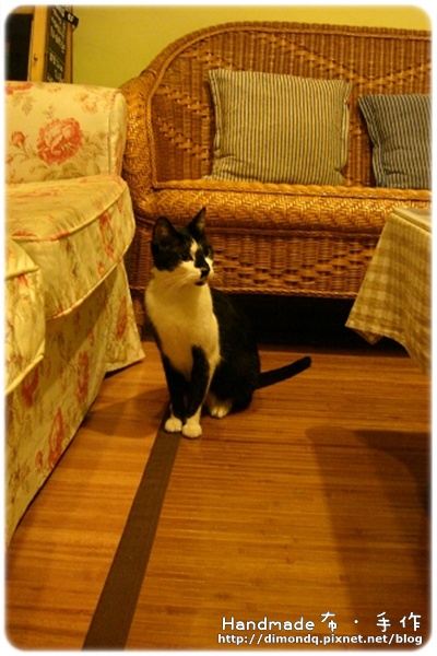 DSC08554.jpg DSC08554.jpg