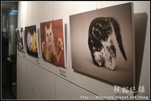 DSC09731.jpg DSC09731.jpg