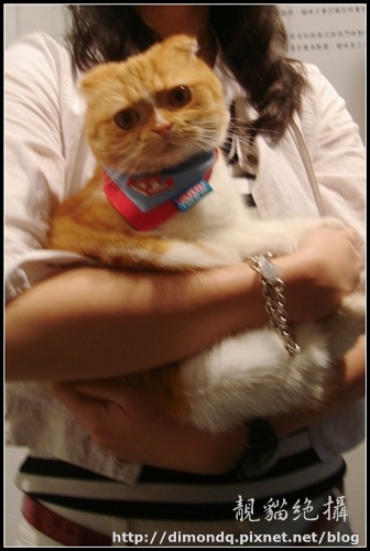 DSC09741.jpg DSC09741.jpg