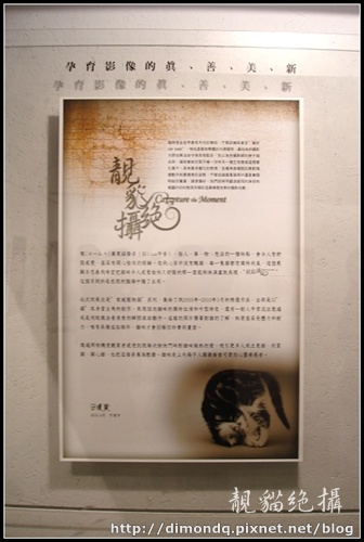 DSC09745.jpg DSC09745.jpg