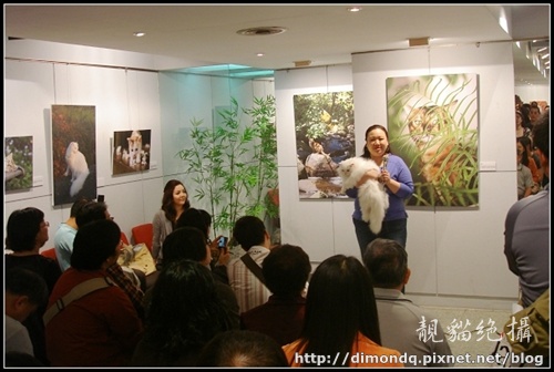 DSC09746.jpg DSC09746.jpg