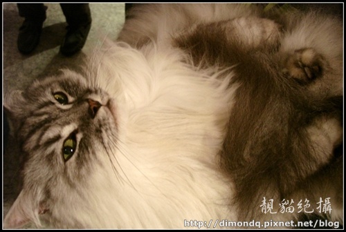 DSC09780.jpg DSC09780.jpg