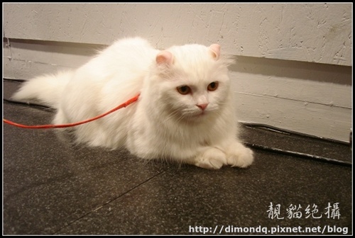 DSC09820.jpg DSC09820.jpg