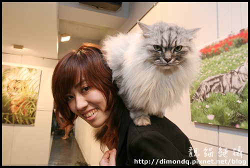 IMG_0817.JPG IMG_0817.JPG