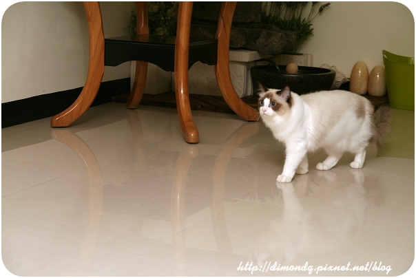 IMG_3669.jpg IMG_3669.jpg