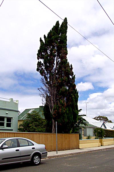 watsons bay133.JPG watsons bay133.JPG