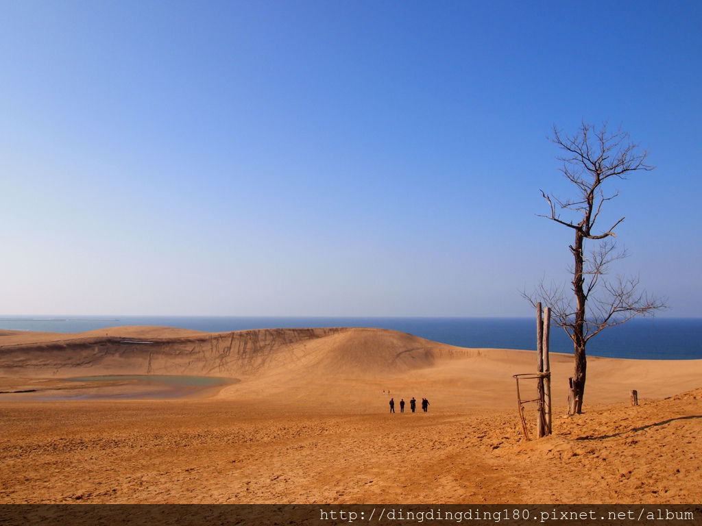 鳥取砂丘