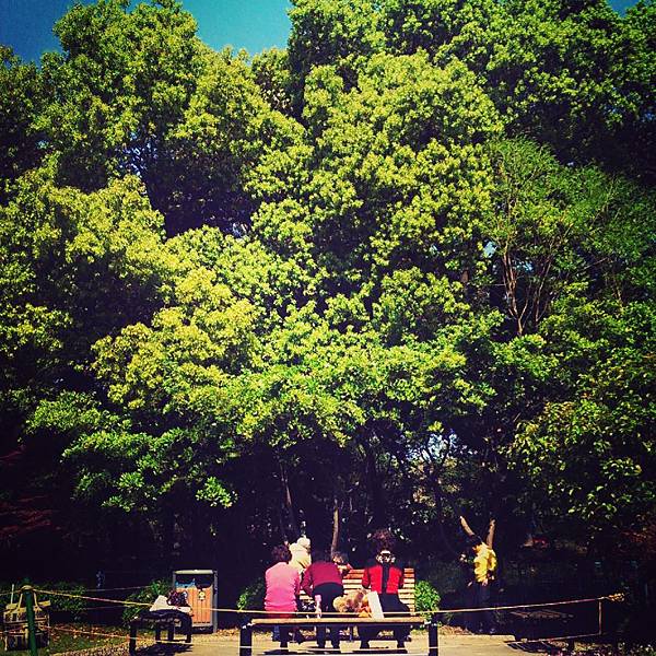 IMG_20140415_201932 IMG_20140415_201932