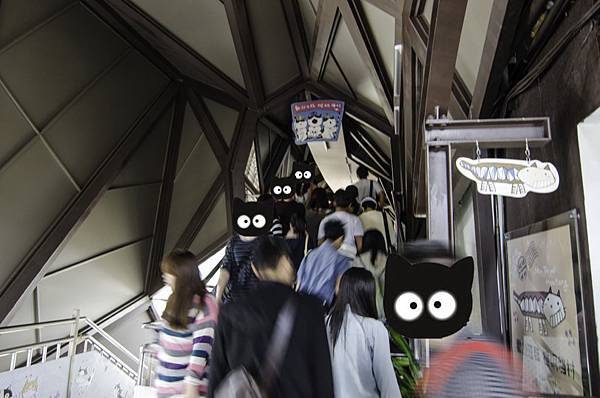 侯硐 貓村 侯硐 貓村