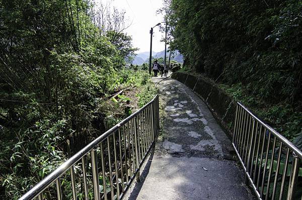 侯硐 貓村 侯硐 貓村