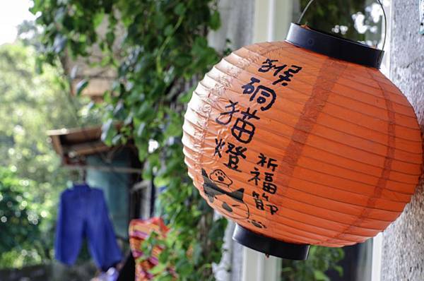 侯硐 貓村 侯硐 貓村