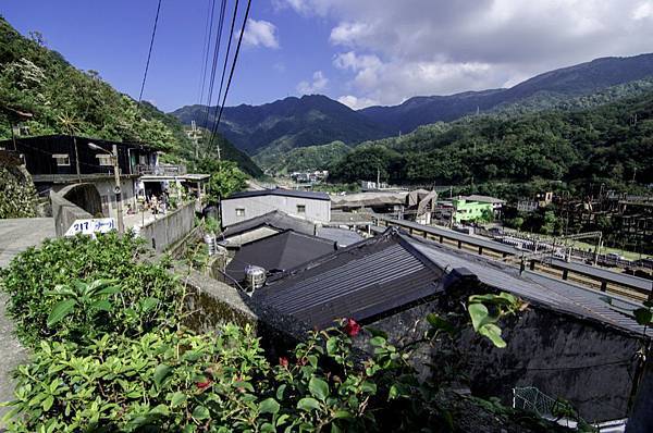 侯硐 貓村 侯硐 貓村