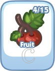 Fruit