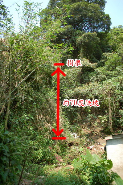 樹屋計畫2 樹屋計畫2