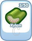The Sims Social, Xylem The Sims Social, Xylem