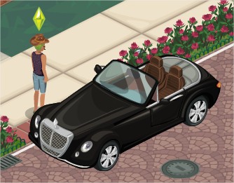 The Sims Social
