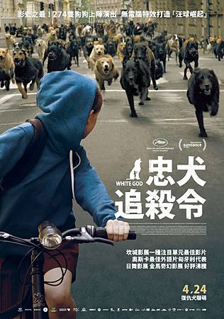 Movie, Fehér isten / 忠犬追殺令 / 白色上帝 / White God, 電影海報 Movie, Fehér isten / 忠犬追殺令 / 白色上帝 / White God, 電影海報