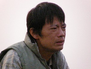 木棉的印記 木棉的印記
