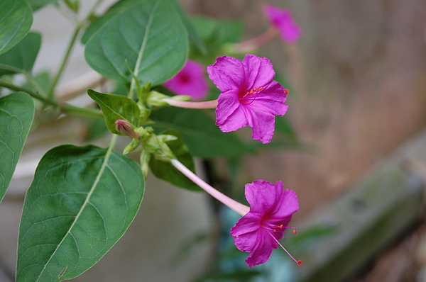 DSC_6366.JPG DSC_6366.JPG