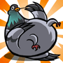 Harvest Bird Feed Harvest Bird Feed