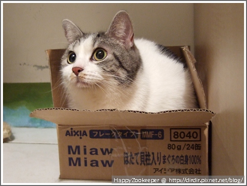 0GARY20110129 019.jpg 0GARY20110129 019.jpg