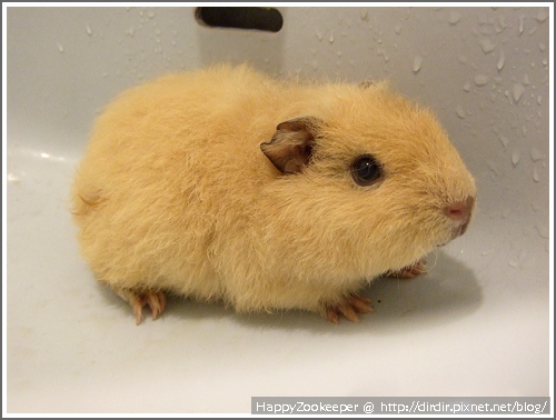 1CRD20110410 002.jpg 1CRD20110410 002.jpg