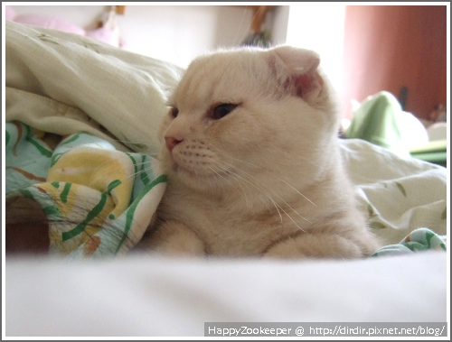 1CHD20110118 001.jpg 1CHD20110118 001.jpg