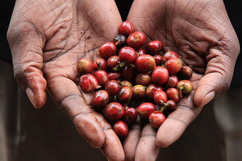 1383722510-802436585