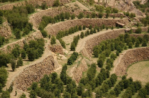 1383722370-3830267688