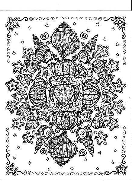 mandala shell 貝殼