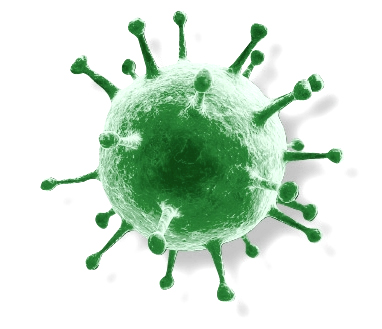 愈大壓力愈易患病?! 愈大壓力愈易患病?!