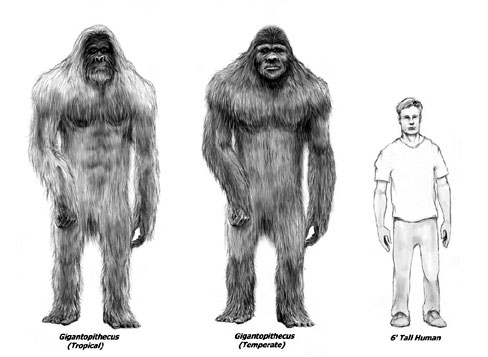 解密?!骗局?!越南惊现野人「大脚八」踪影_戴