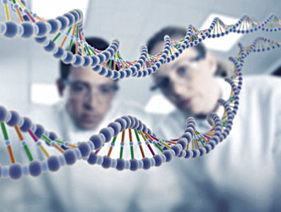 垃圾DNA 垃圾DNA