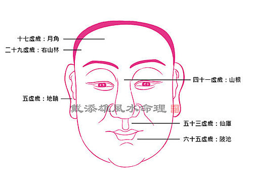 按此瀏覽命理館網誌 按此瀏覽命理館網誌