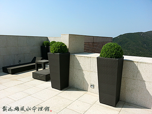 按此瀏覽命理館網誌 按此瀏覽命理館網誌