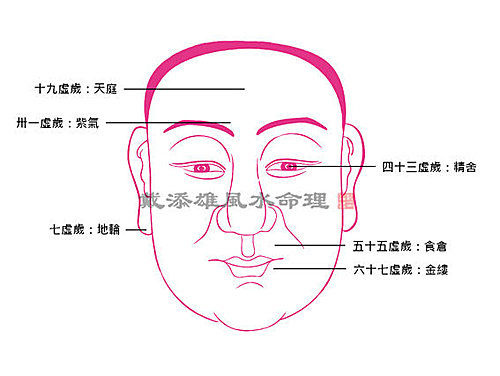 鼠女