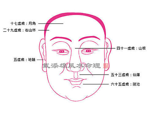 虎女