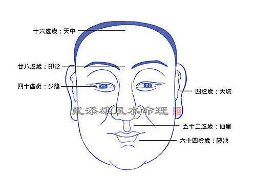 兔男