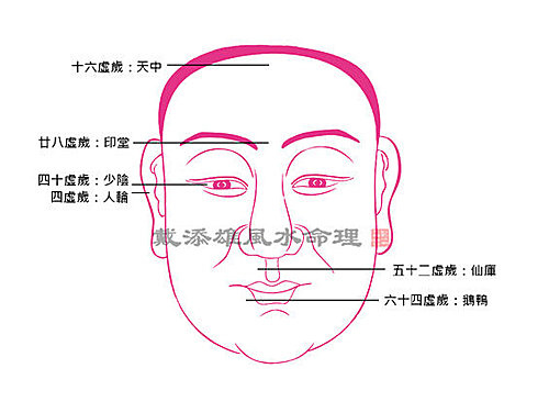 04f 04f