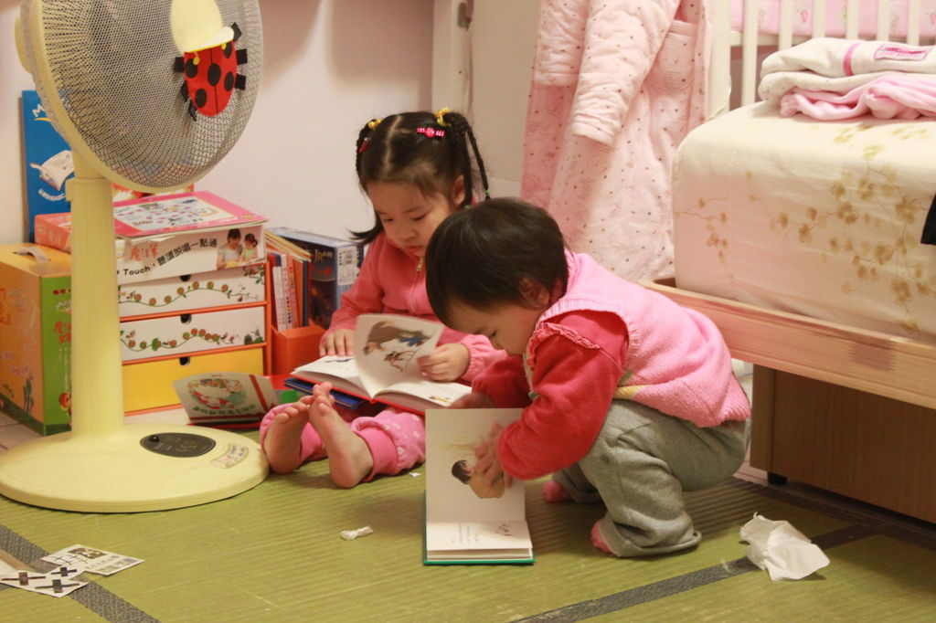 IMG_7056 IMG_7056