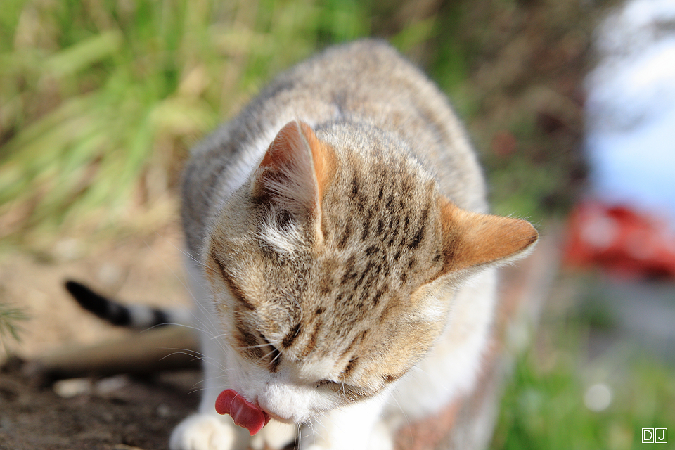 IMG_5520 IMG_5520